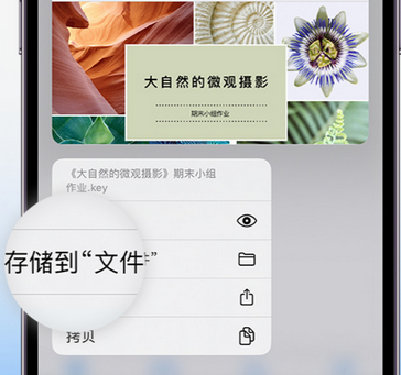 郁南apple维修中心分享iPhone文件应用中存储和找到下载文件