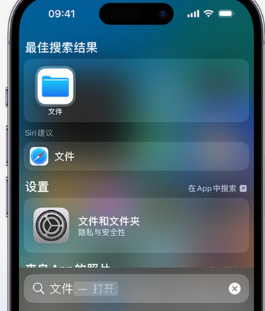 郁南apple维修中心分享iPhone文件应用中存储和找到下载文件 