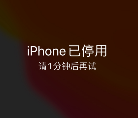 郁南苹果手机维修分享:iPhone 显示“不可用”或“已停用”怎么办？还能保留数据吗？ 