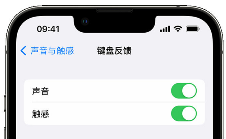 郁南苹果手机维修分享iPhone 14触感键盘使用方法 