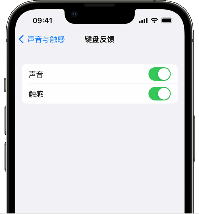 郁南苹果14维修店分享如何在 iPhone 14 机型中使用触感键盘 