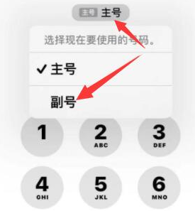 郁南苹果14维修店分享iPhone 14 Pro Max使用副卡打电话的方法 