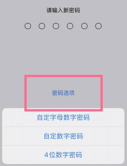 郁南苹果14维修分享iPhone 14plus设置密码的方法 