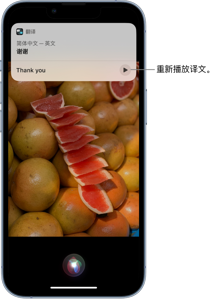 郁南苹果14维修分享 iPhone 14 机型中使用 Siri：了解 Siri 能帮你做什么 