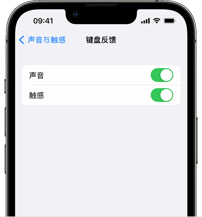 郁南苹果14维修分享iPhone 14 系列机型如何开启键盘声音或触感反馈 