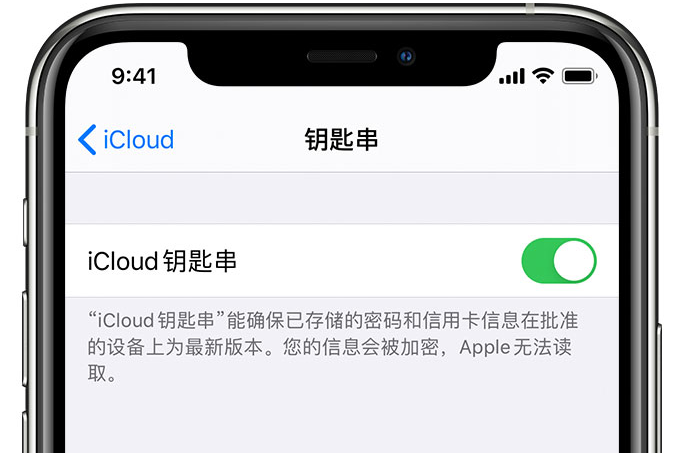 郁南苹果手机维修分享在 iPhone 上开启 iCloud 钥匙串之后会储存哪些信息 