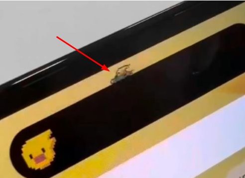郁南苹果14维修分享iPhone 14 Pro Max灵动岛怎么养宠物 