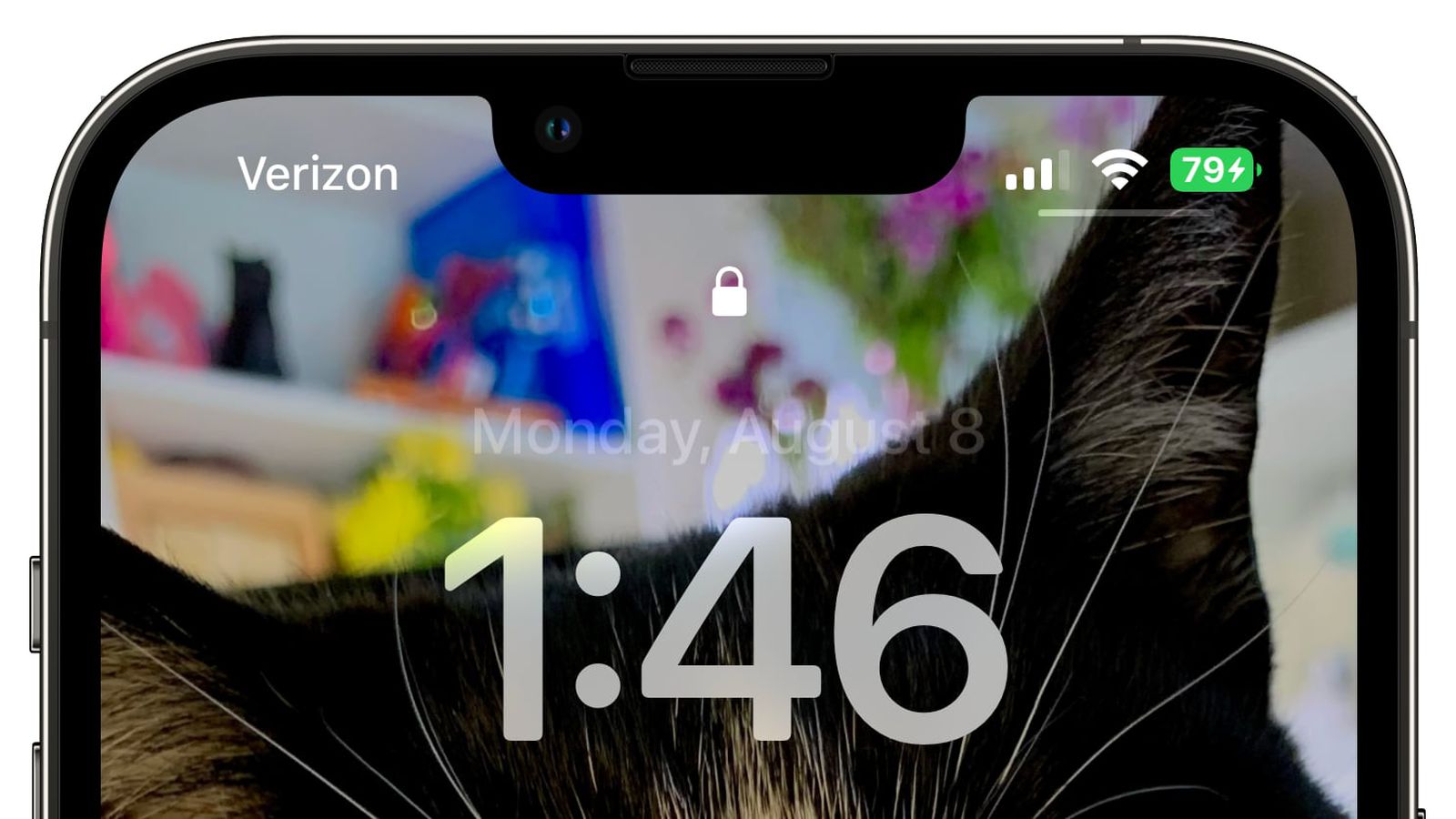 郁南苹果手机维修分享iOS 16 beta 5 支持状态栏显示电池百分比，如何开启？支持哪些机型 