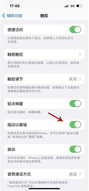 郁南苹果手机维修分享iPhone手机如何设置摇一摇删除文字 