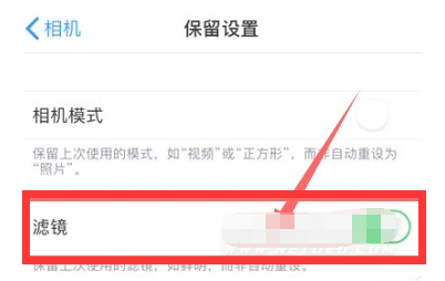 郁南苹果13维修分享iPhone13拍照有绿点是怎么回事 
