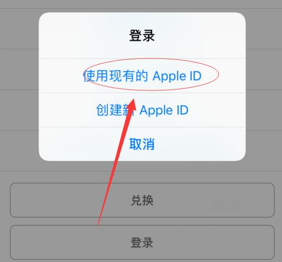 郁南苹果手机维修分享两台iPhone设备可以同时登录一个Apple ID吗 