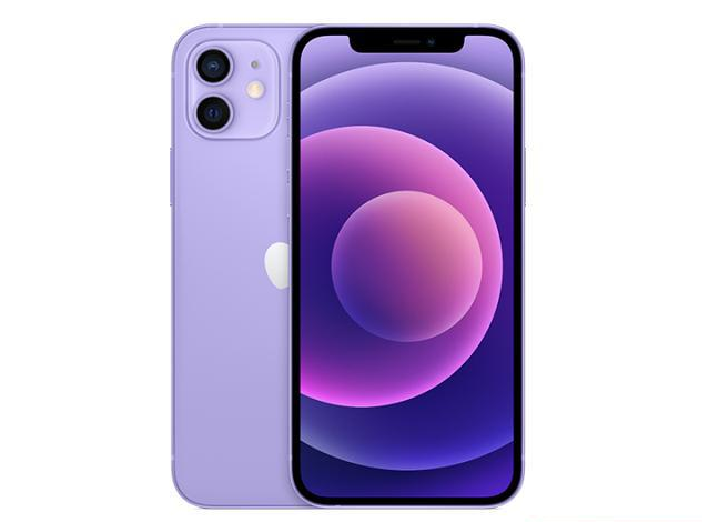 郁南苹果手机维修分享现阶段要不要入手紫色版iPhone12 
