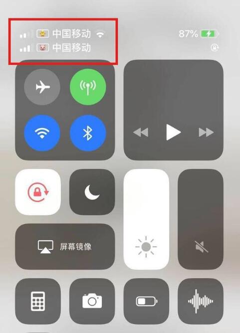 郁南苹果手机维修分享为 iPhone 12 双卡设置标签 